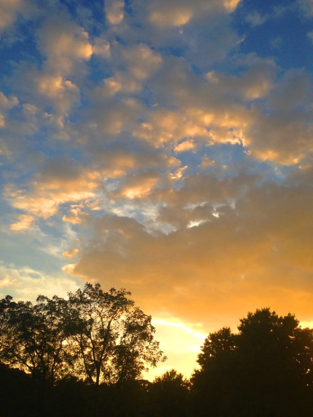 SusanSpangler, #shygirl, #kindness, #gratitude, #family, #familylove, #inspiration, #encouragement, #affirmation, #boundaries, #stress, #comfortzone