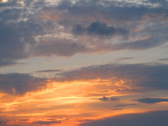 SusanSpangler, #shygirl, #kindness, #gratitude, #family, #familylove, #inspiration, #encouragement, #affirmation, #boundaries, #stress, #comfortzone