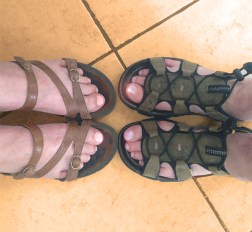 SusanSpangler, #shygirl, #kindness, #gratitude, #family, #familylove, #inspiration, #encouragement, #affirmation, #boundaries, #stress, #comfortzone