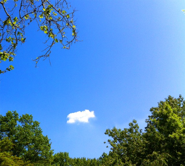 SusanSpangler, #shygirl, #kindness, #gratitude, #family, #familylove, #inspiration, #encouragement, #affirmation, #boundaries, #stress, #comfortzone