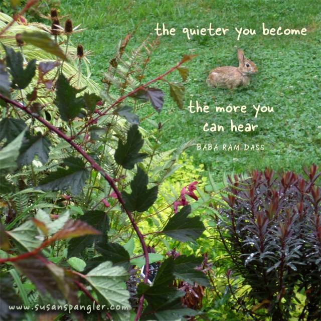 SusanSpangler, #shygirl, #kindness, #gratitude, #family, #familylove, #inspiration, #encouragement, #affirmation, #boundaries, #stress, #comfortzone