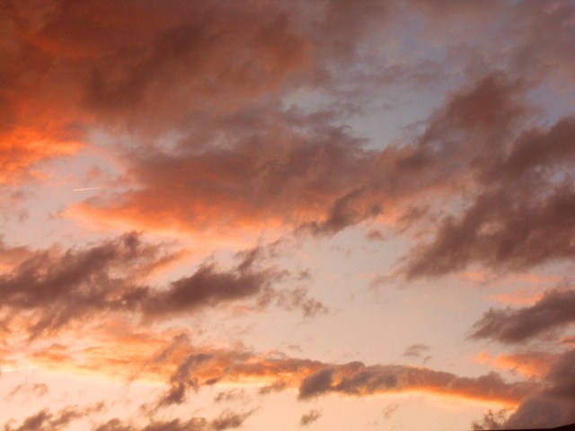 SusanSpangler, #shygirl, #kindness, #gratitude, #family, #familylove, #inspiration, #encouragement, #affirmation, #boundaries, #stress, #comfortzone