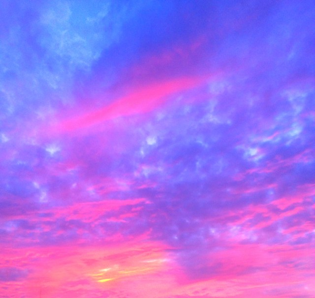 SusanSpangler, #shygirl, #kindness, #gratitude, #family, #familylove, #inspiration, #encouragement, #affirmation, #boundaries, #stress, #comfortzone