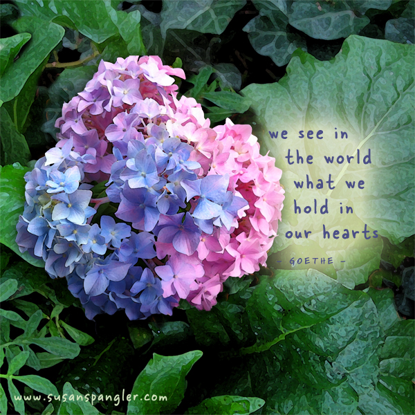 SusanSpangler, #shygirl, #kindness, #gratitude, #family, #familylove, #inspiration, #encouragement, #affirmation, #boundaries, #stress, #comfortzone