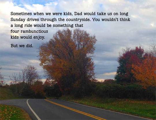 Susan-Spangler, Shy-girl-talking, Pictures-&-words