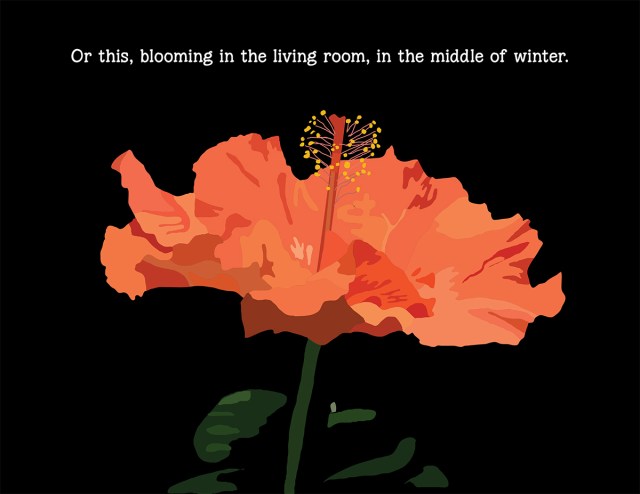 shortcuts to happiness-4